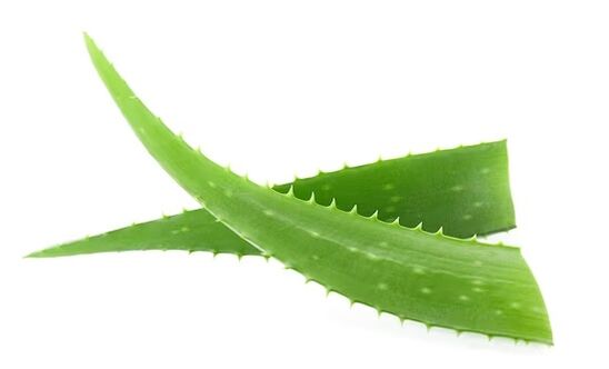 A Fungent aloe verát tartalmaz